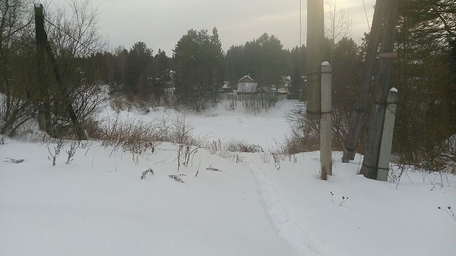 Photo 281@16-02-2020 14-41-46