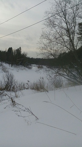 Photo 283@16-02-2020 15-00-23