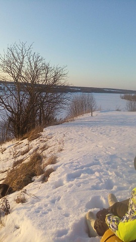 Photo 343@22-02-2020 17-10-05