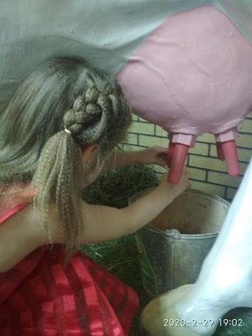 Photo 457@02-03-2020 13-34-15 Thumb