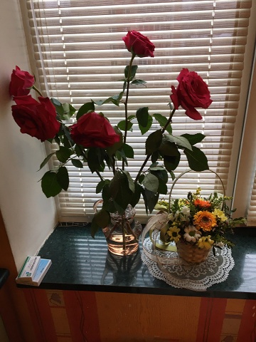 Photo 543@09-03-2020 14-56-49