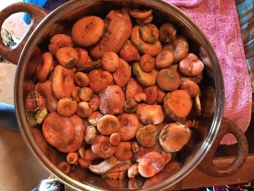 Photo 622@16-08-2020 14-27-13 Thumb